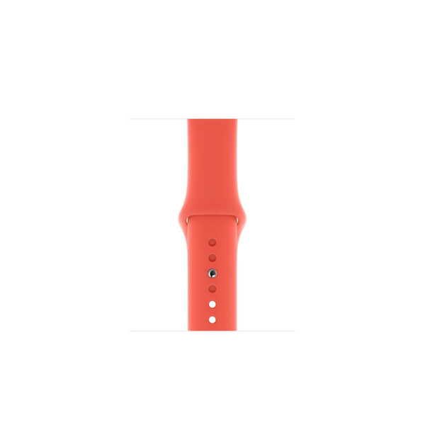 Nectarine Sport Band Nectarine Sport Band